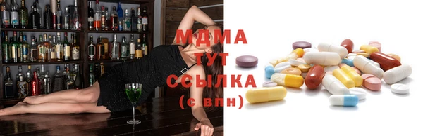 дмт Богданович