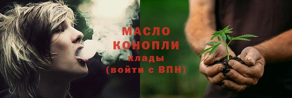 дмт Богданович