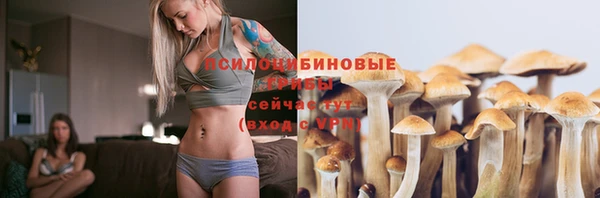 mdpv Верея