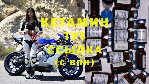 дмт Богданович