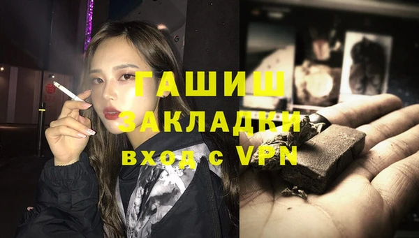 дмт Богданович