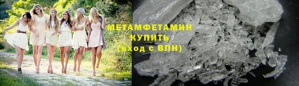 дмт Богданович