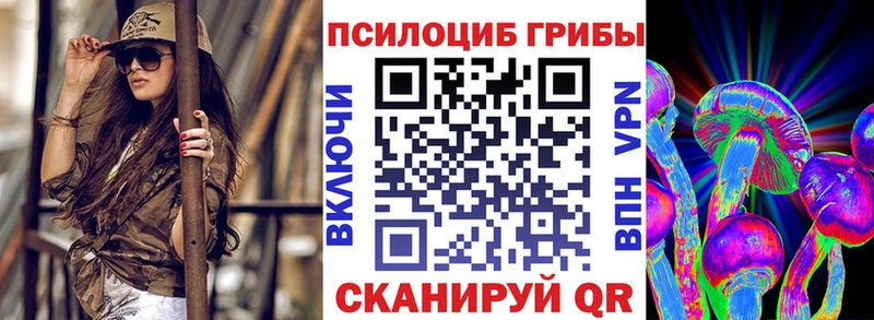цена наркотик  блэк спрут ссылка  Псилоцибиновые грибы прущие грибы  Первомайск 